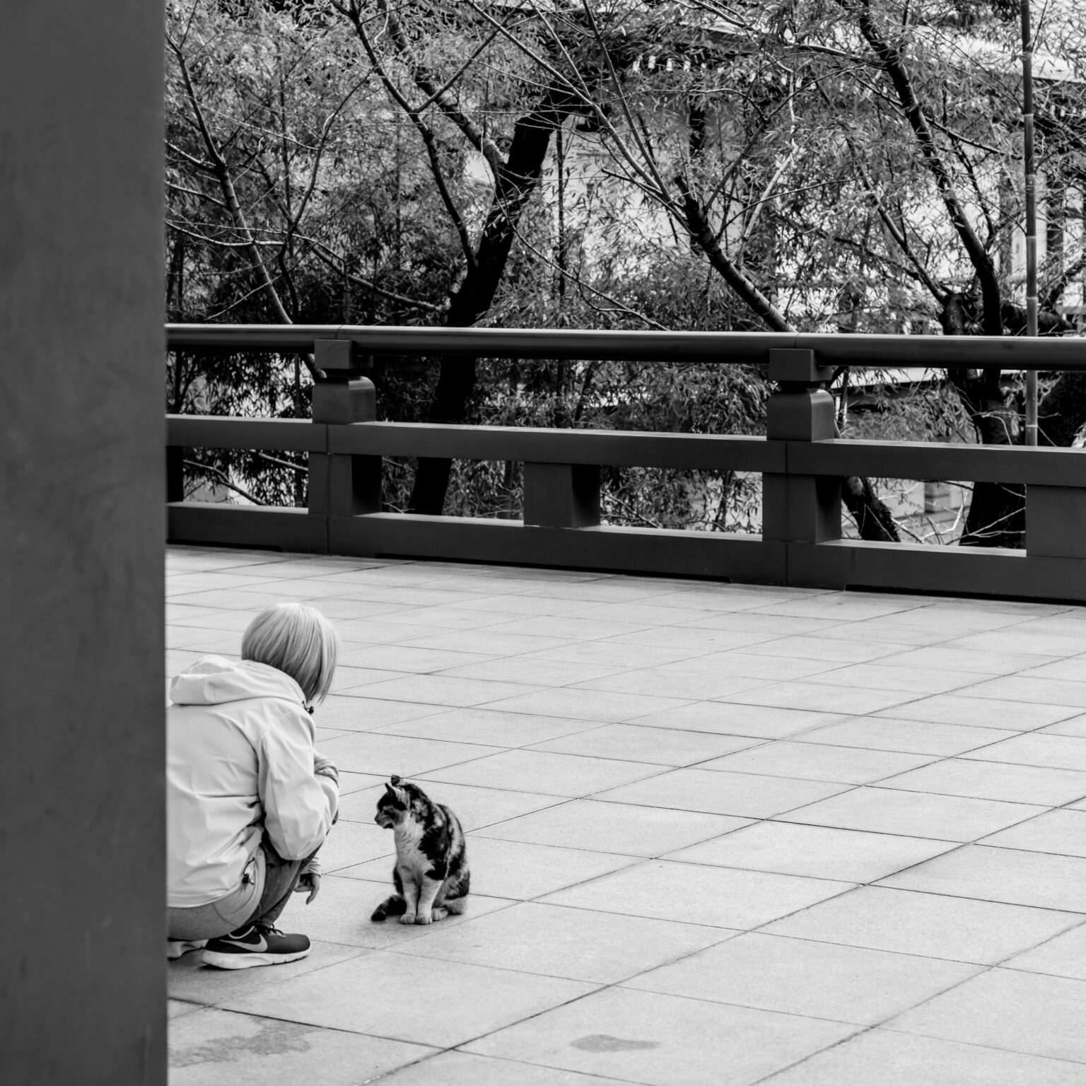 2022.02 - Zojoji Temple, Minato-ku, Tokyo