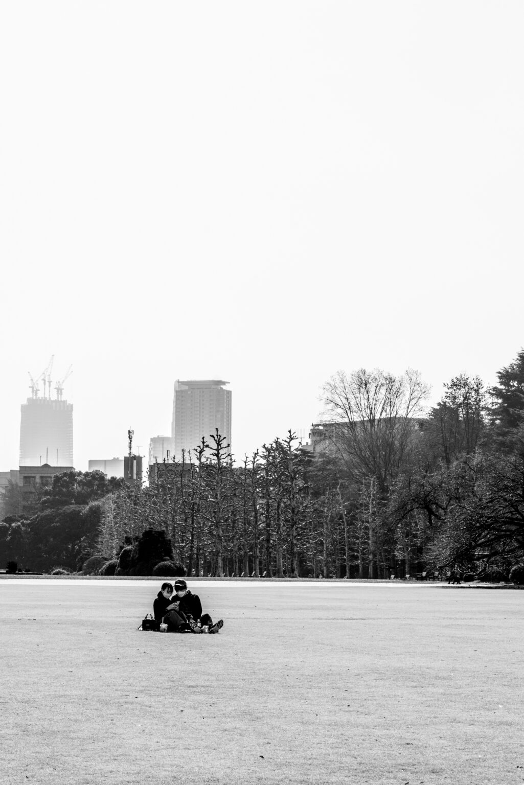 2022.03 - Shinjuku Gyoen National Garden, Shinjuku-ku, Tokyo