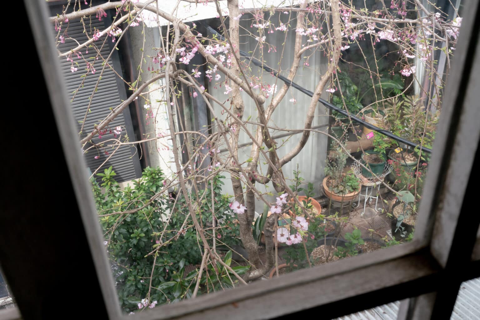 2023.03 - Atelier M, Nakano-ku, Tokyo