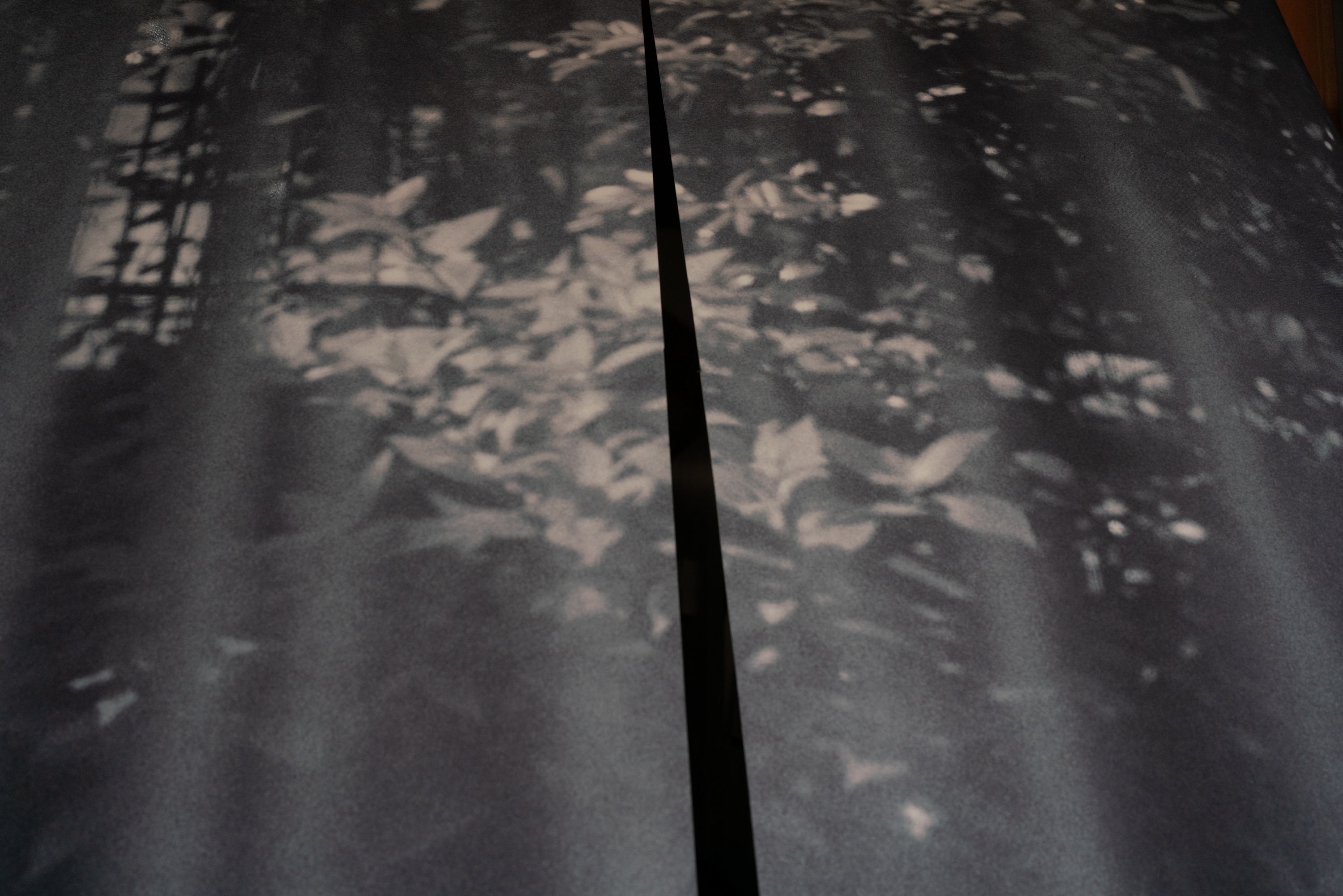 2023.04 - KYOTOGRAPHIE Ishiuchi Miyako, Kondaya Genbei, Kyoto