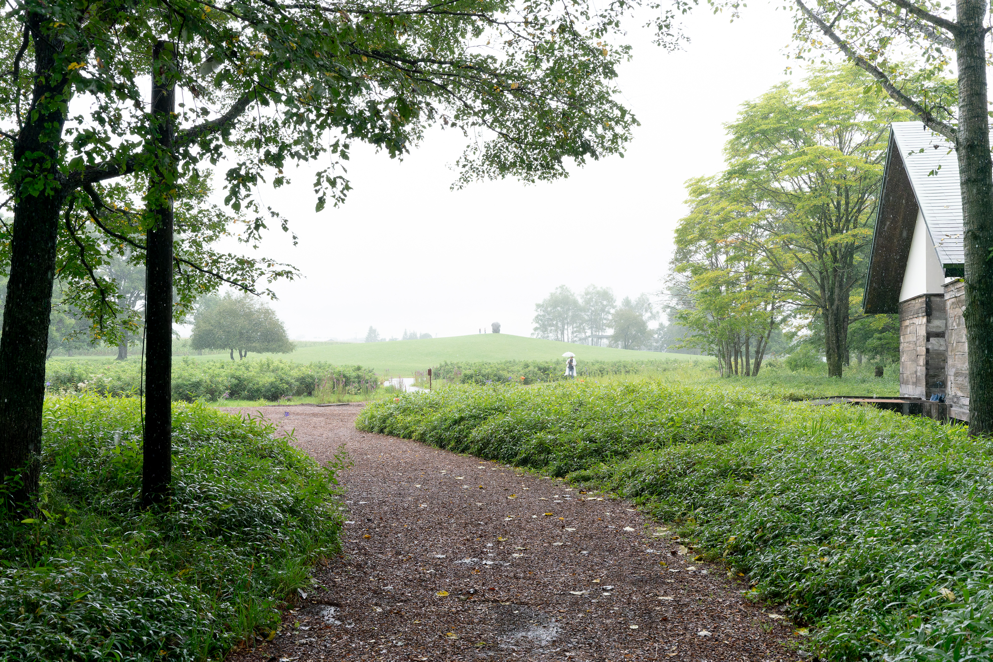2023.08 – Rokka no Mori, Nakasatsunai, Hokkaido