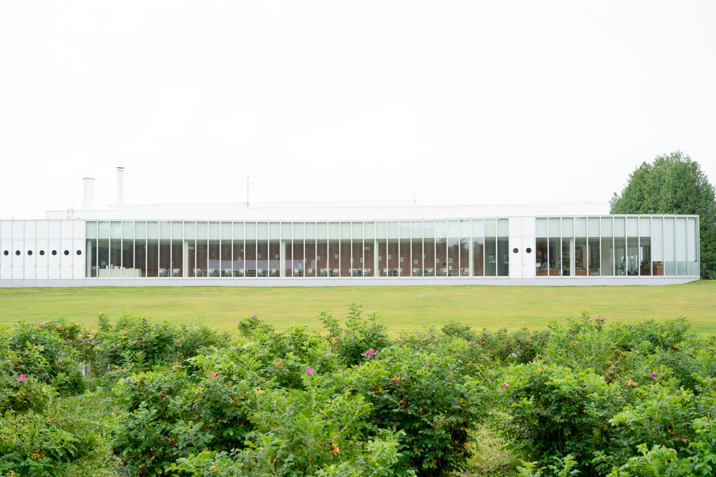 2023.08 - Rokka no Mori, Nakasatsunai, Hokkaido