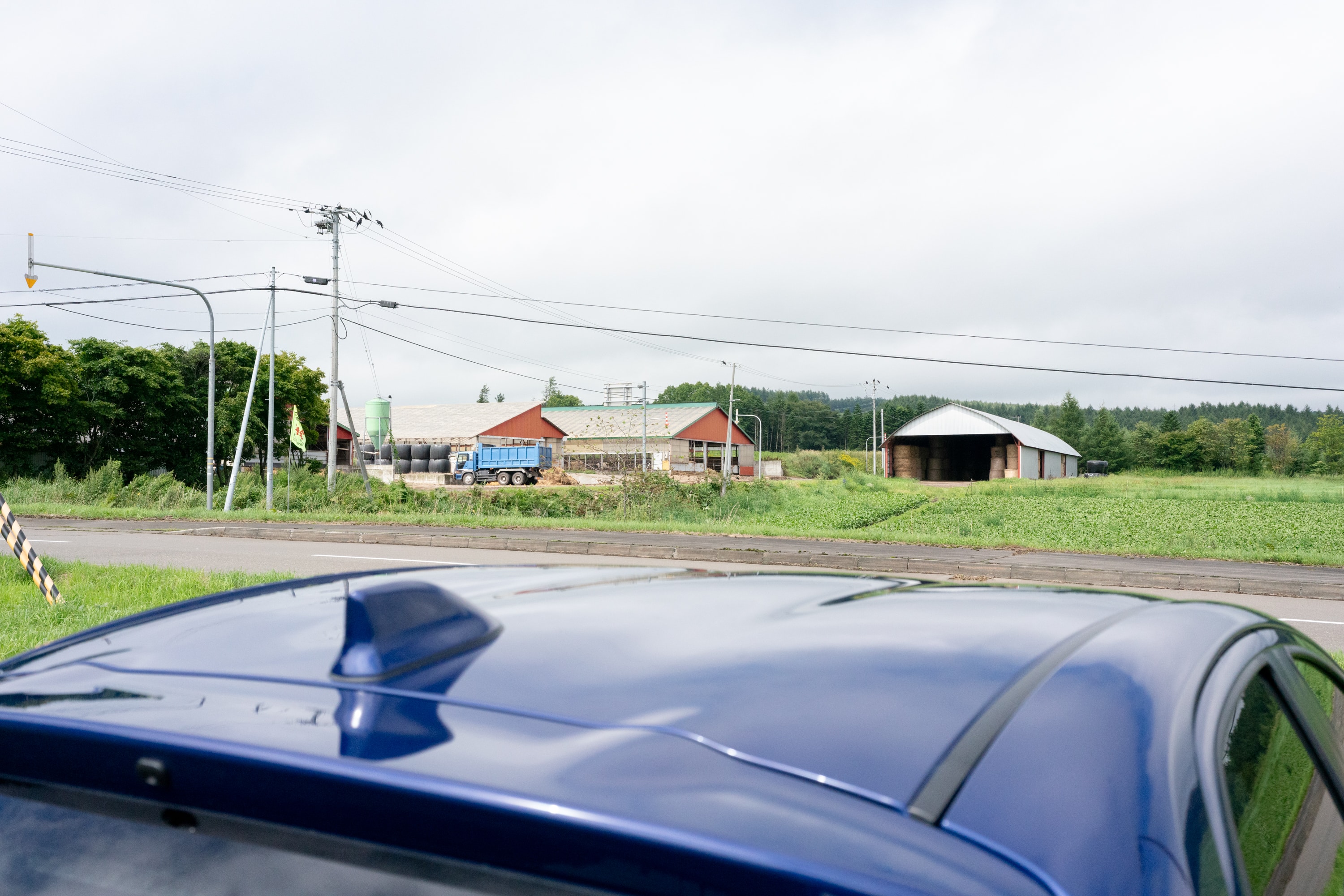 2023.08 - Naitaikogen Ranch, Kamishihoro, Hokkaido