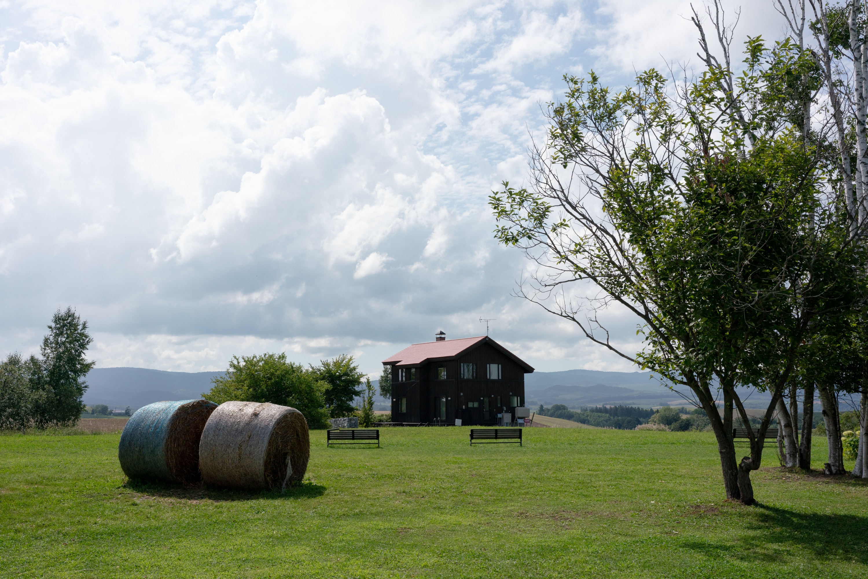 2023.08 - Ferme La terre, Biei, Hokkaido
