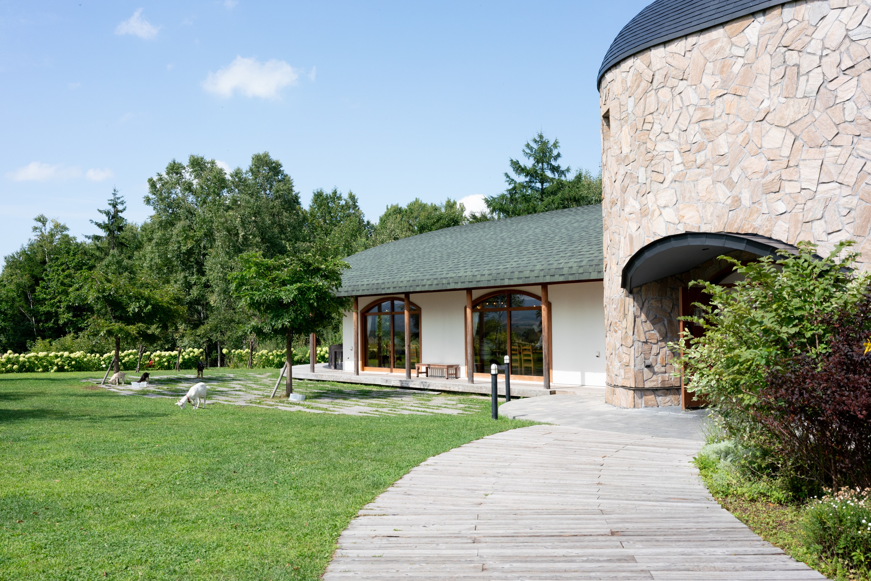 2023.08 - Ferme La terre, Biei, Hokkaido