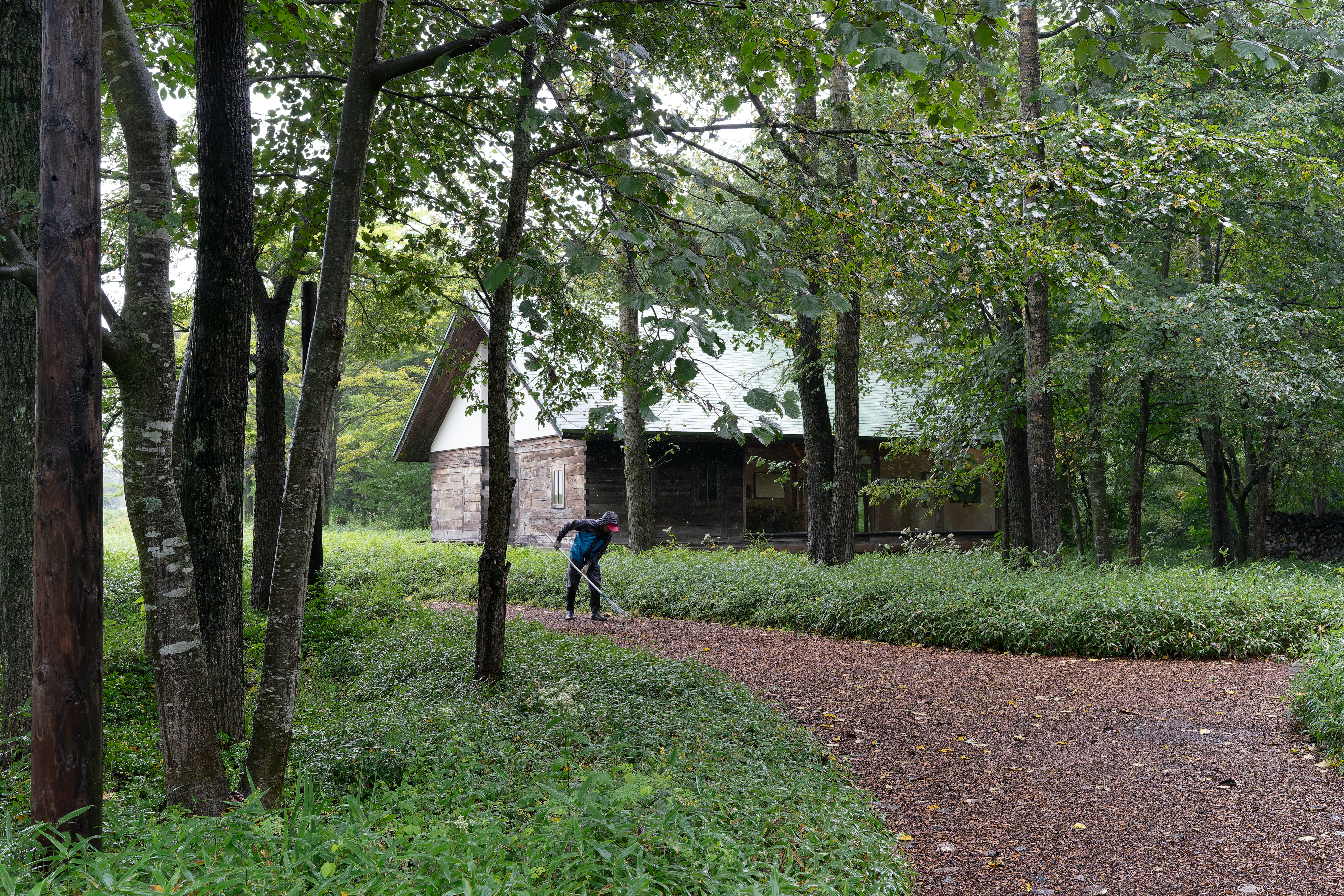2023.08 – Rokka no Mori, Nakasatsunai, Hokkaido