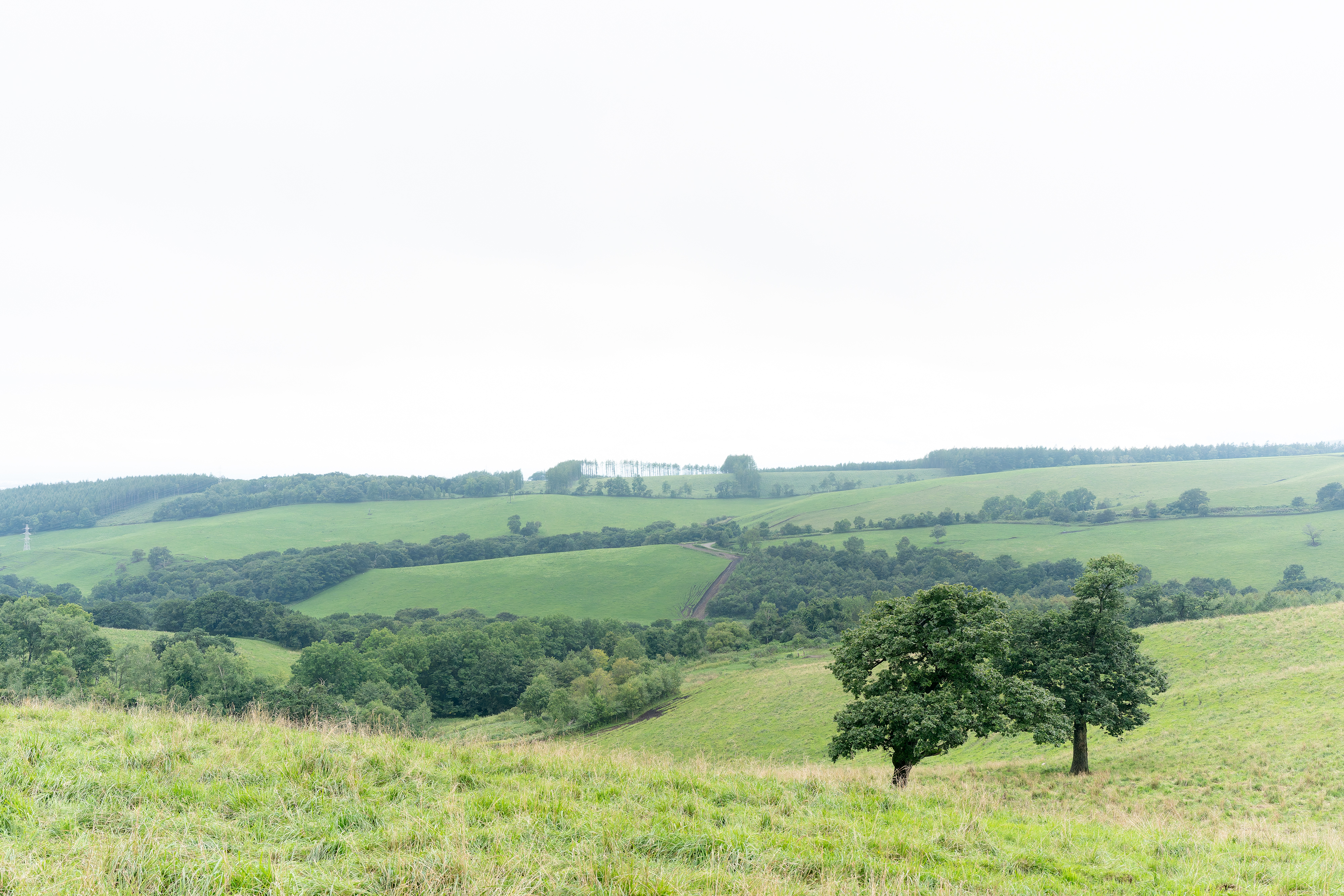 2023.08 – Naitai Kogen Ranch, Kamishihoro, Hokkaido
