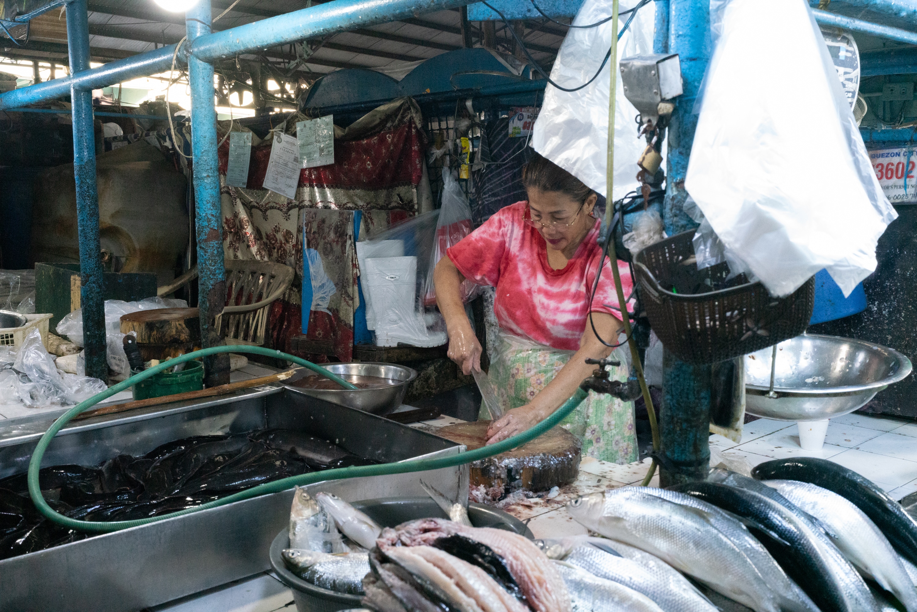 2023.08 - Farmers Market, Quezon City, Metro Manila, Philippines