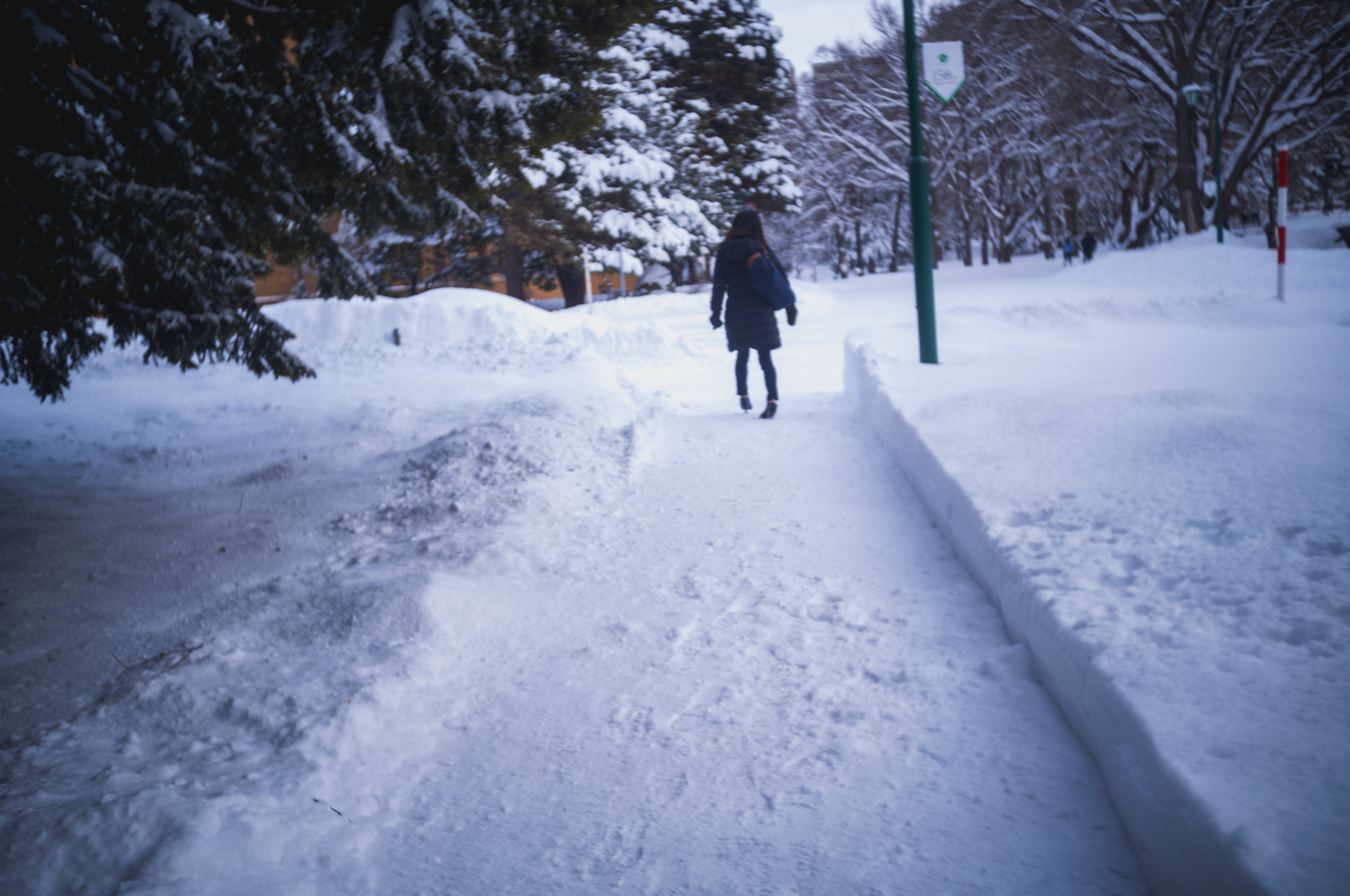 2024.01 - Hokkaido University, Sapporo, Hokkaido