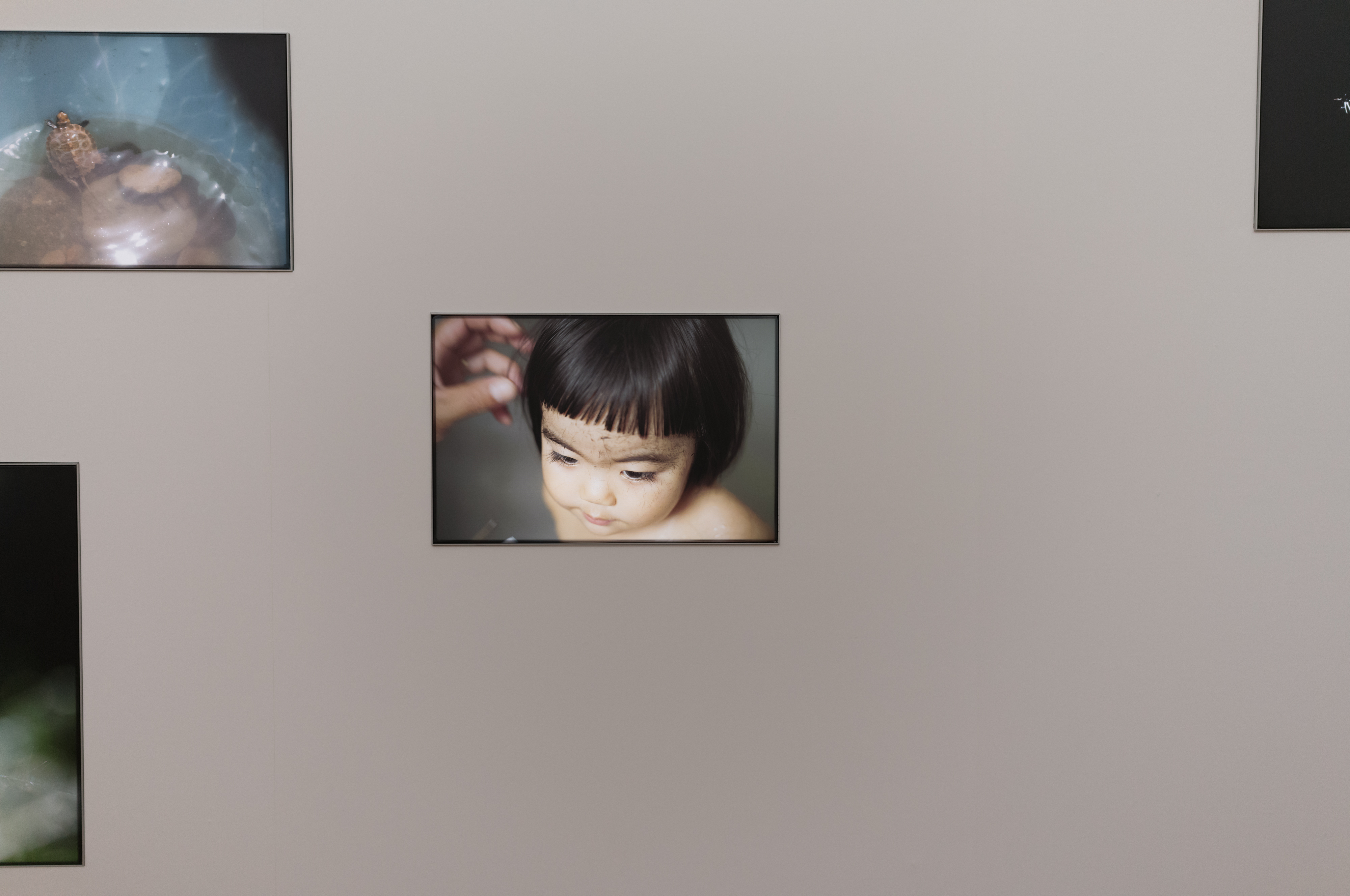 2024.04 - KYOTOGRAPHIE - Rinko Kawauchi, Kyoto City KYOCERA Museum of Art, Kyoto