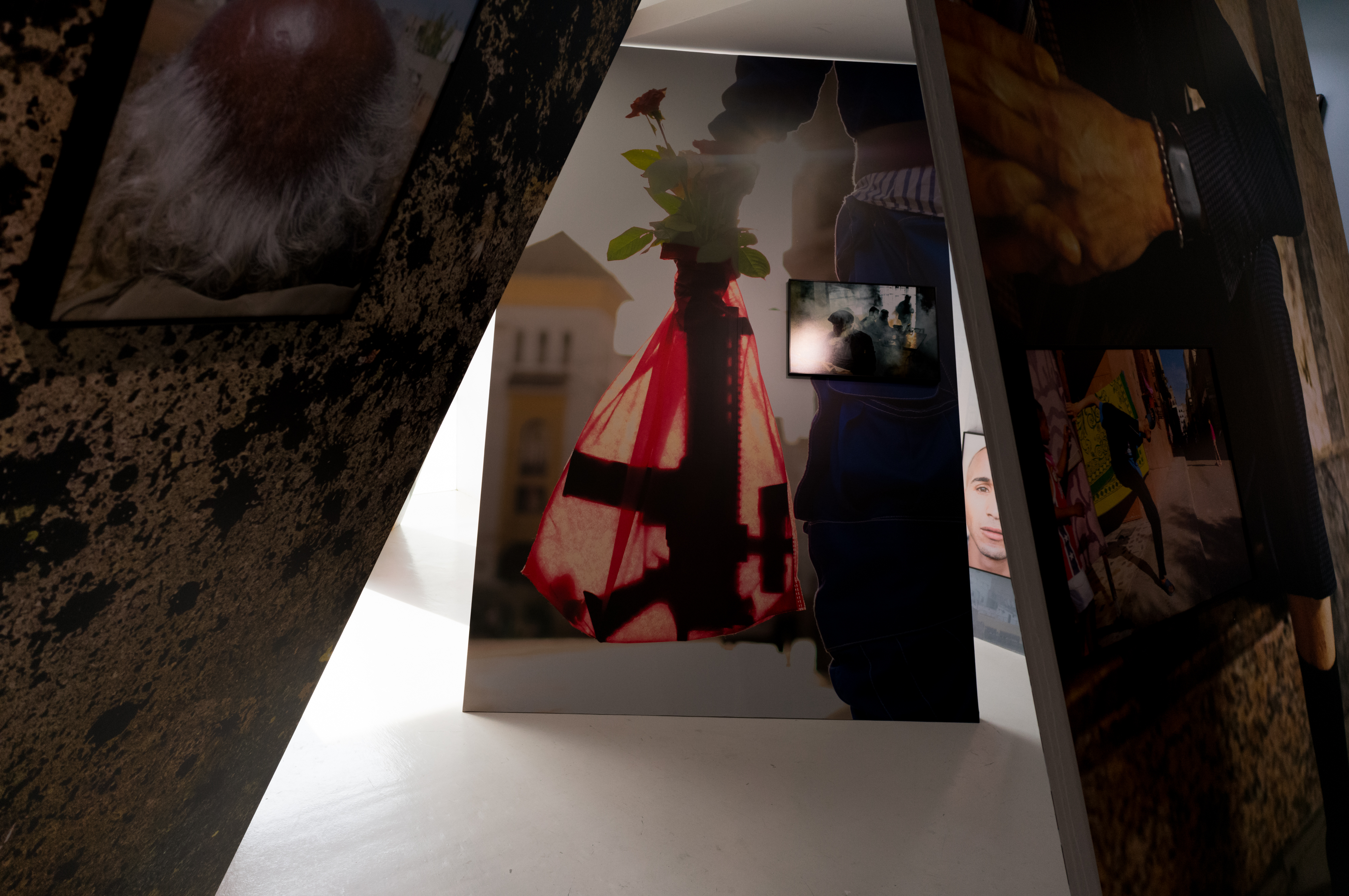 2024.04 - KYOTOGRAPHIE - Yoriyas, ASPHODEL, Kyoto