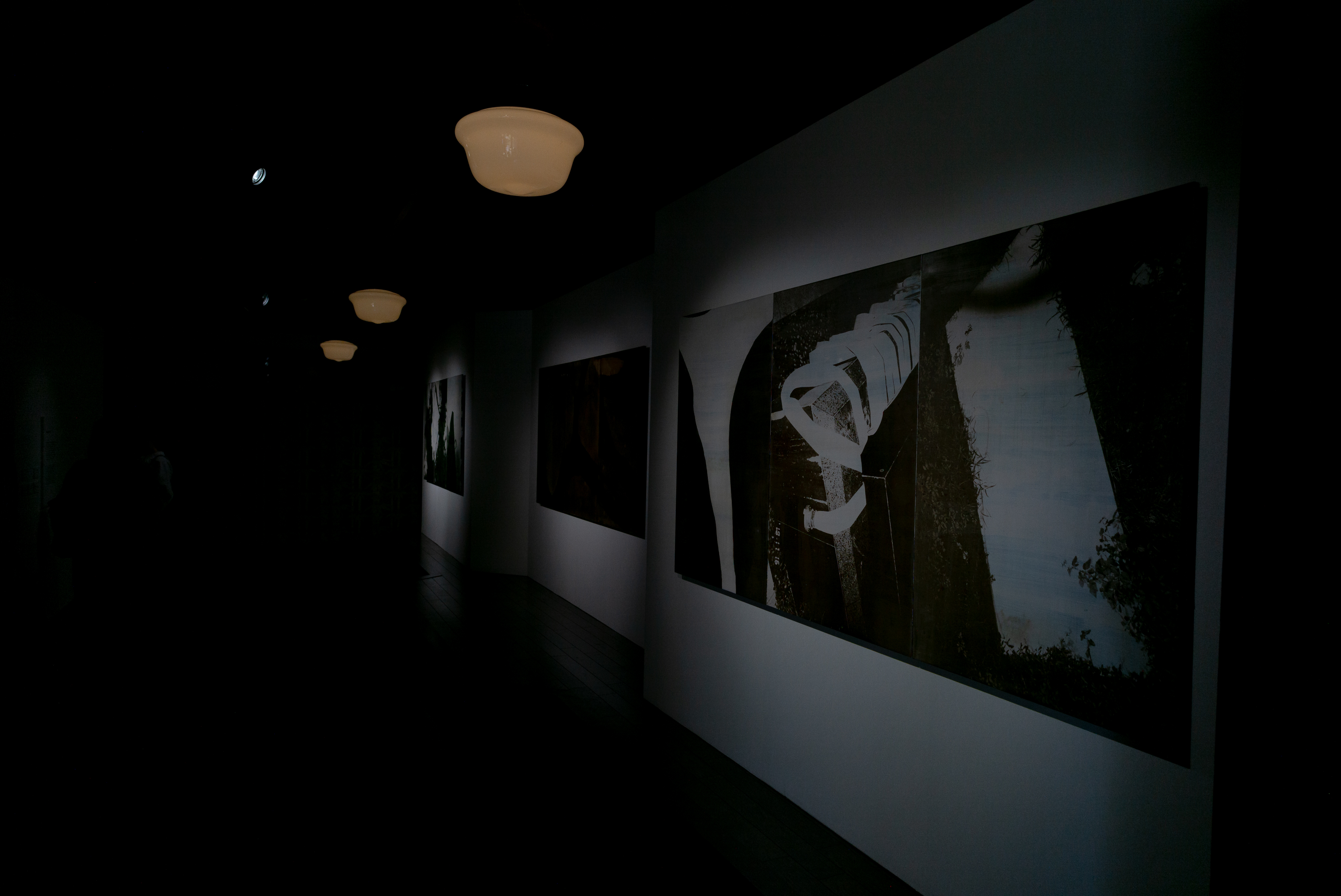 2024.04 - KYOTOGRAPHIE - Birdhead, Kondaya Genbei, Kyoto