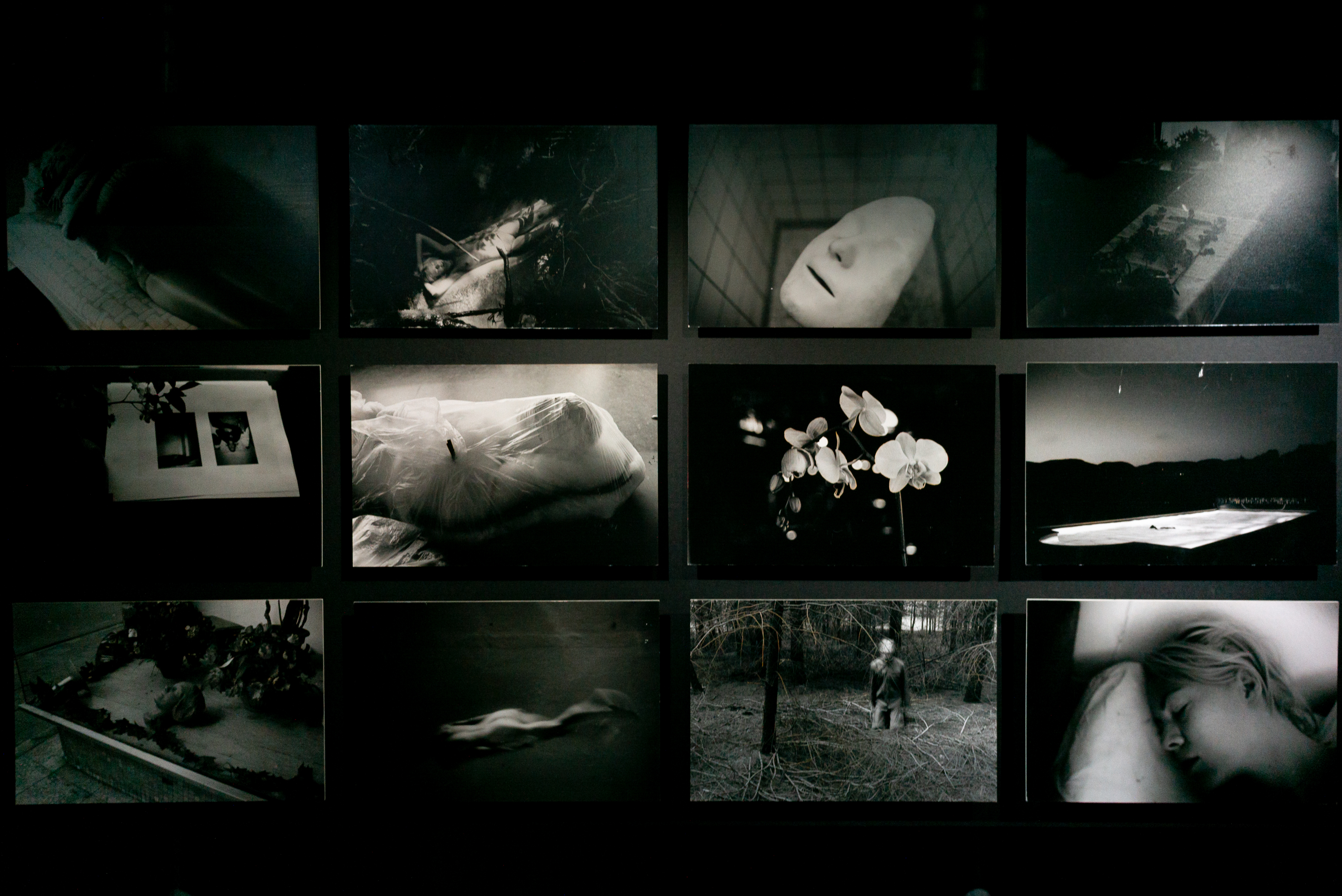 2024.04 - KYOTOGRAPHIE - Viviane Sassen, The Kyoto Shimbun B1F (Former Printing Plant), Kyoto