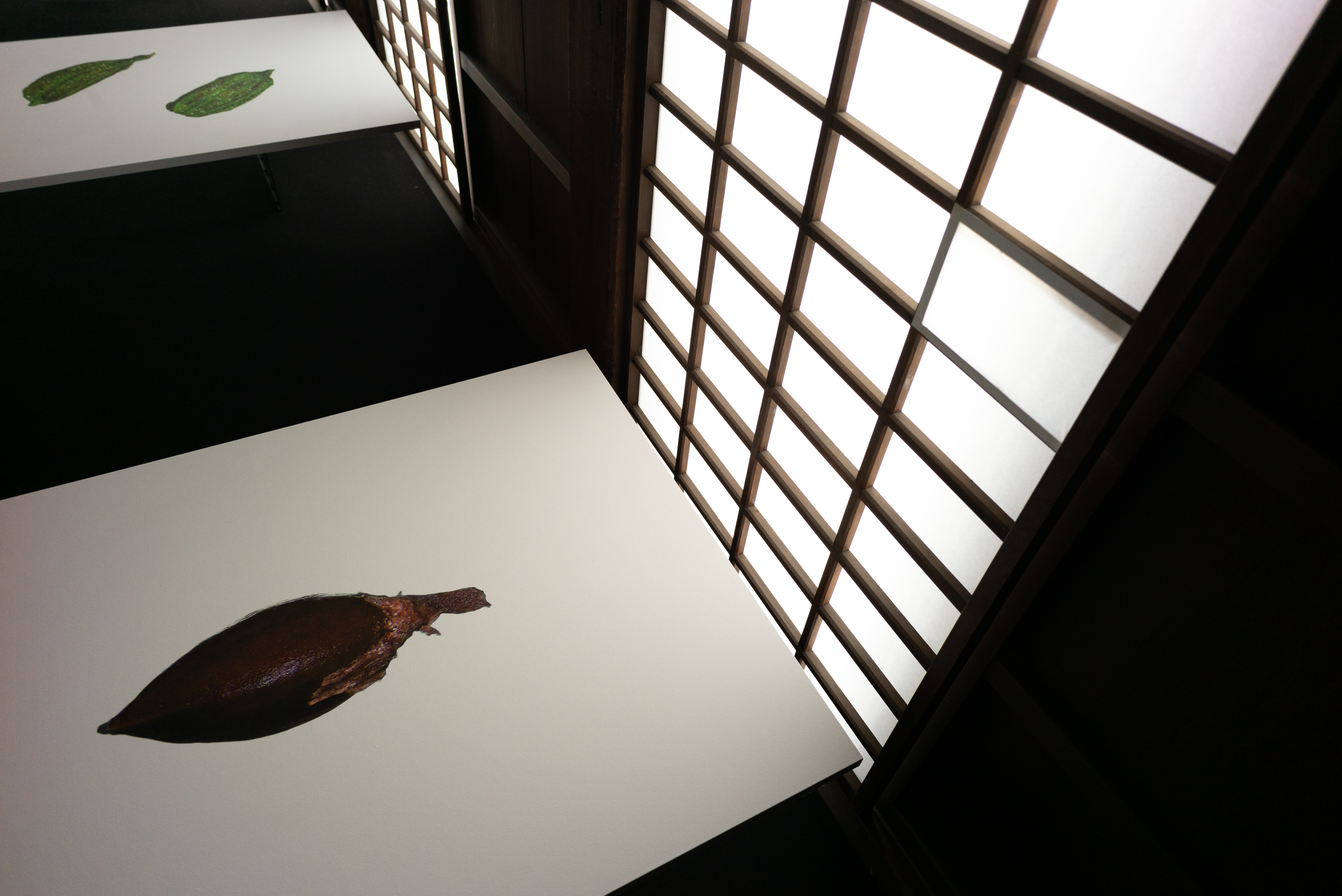 2024.04 - KYOTOGRAPHIE - Thierry Ardouin, Nijo-jo Castle, Kyoto