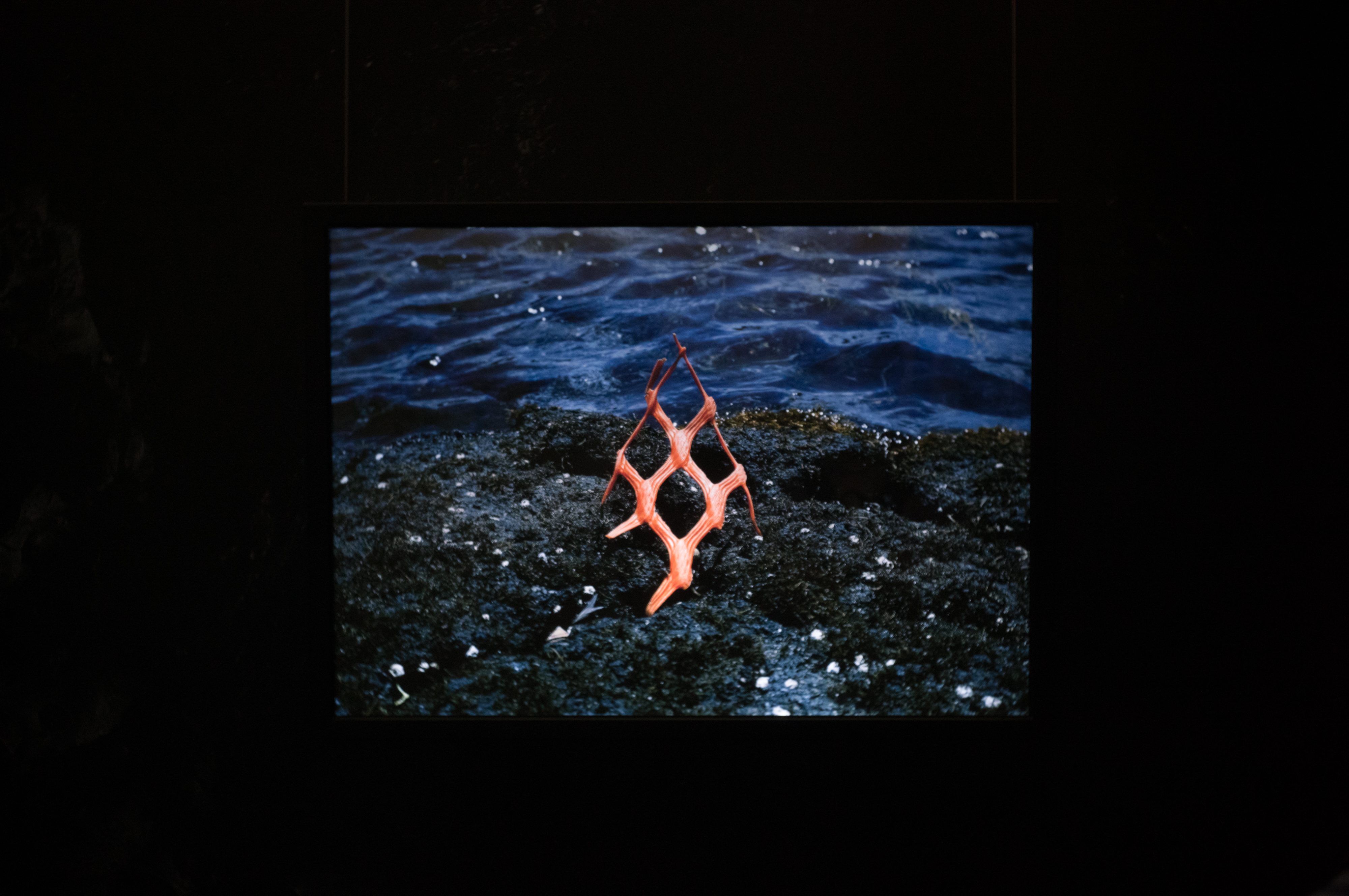 2024.04 - KG+ SELECT Sari Shibata, Horikawaoike Gallery, Kyoto