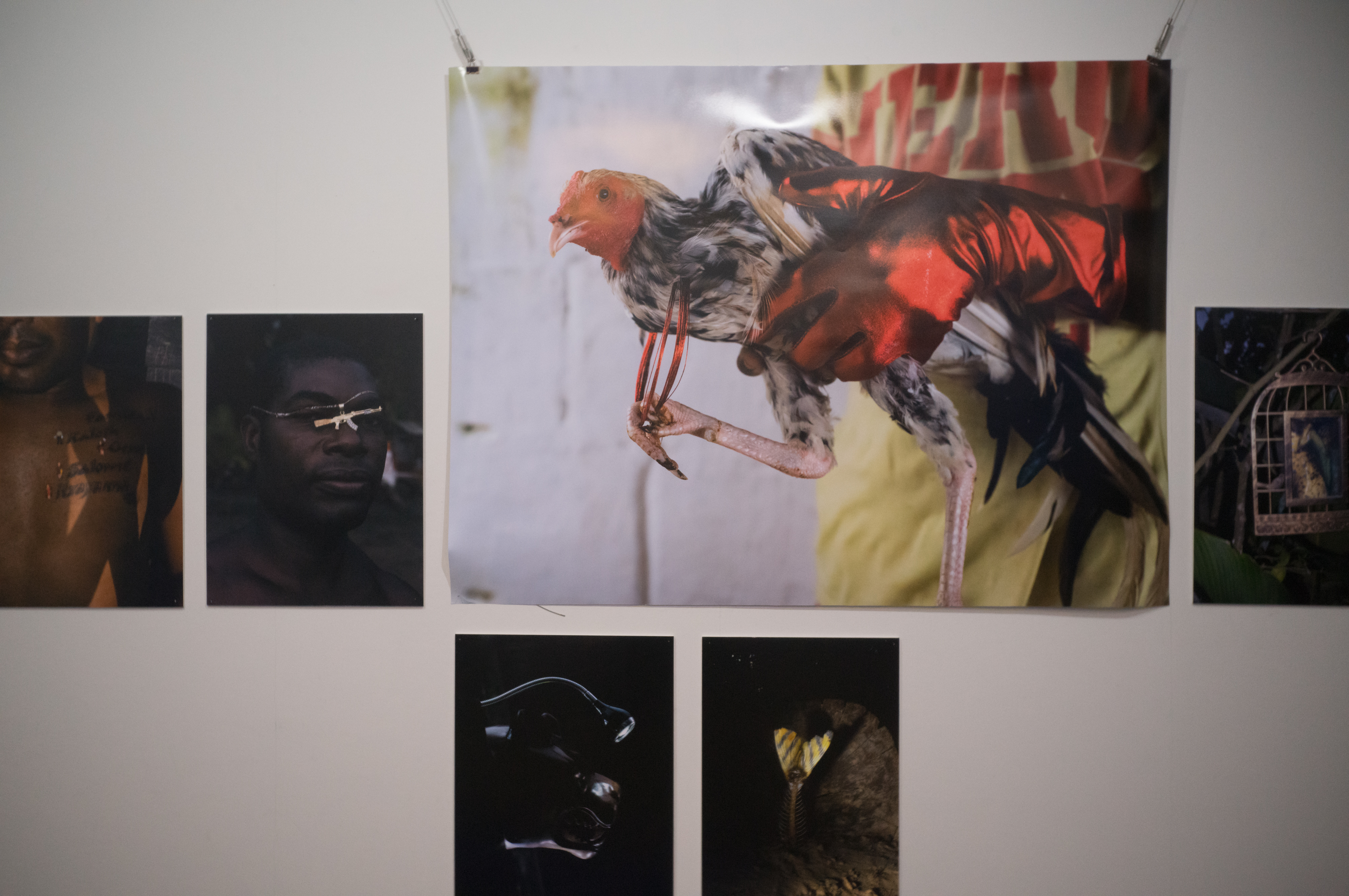 2024.04 - KG+ SELECT Santiago Escobar-Jaramillo, Horikawaoike Gallery, Kyoto