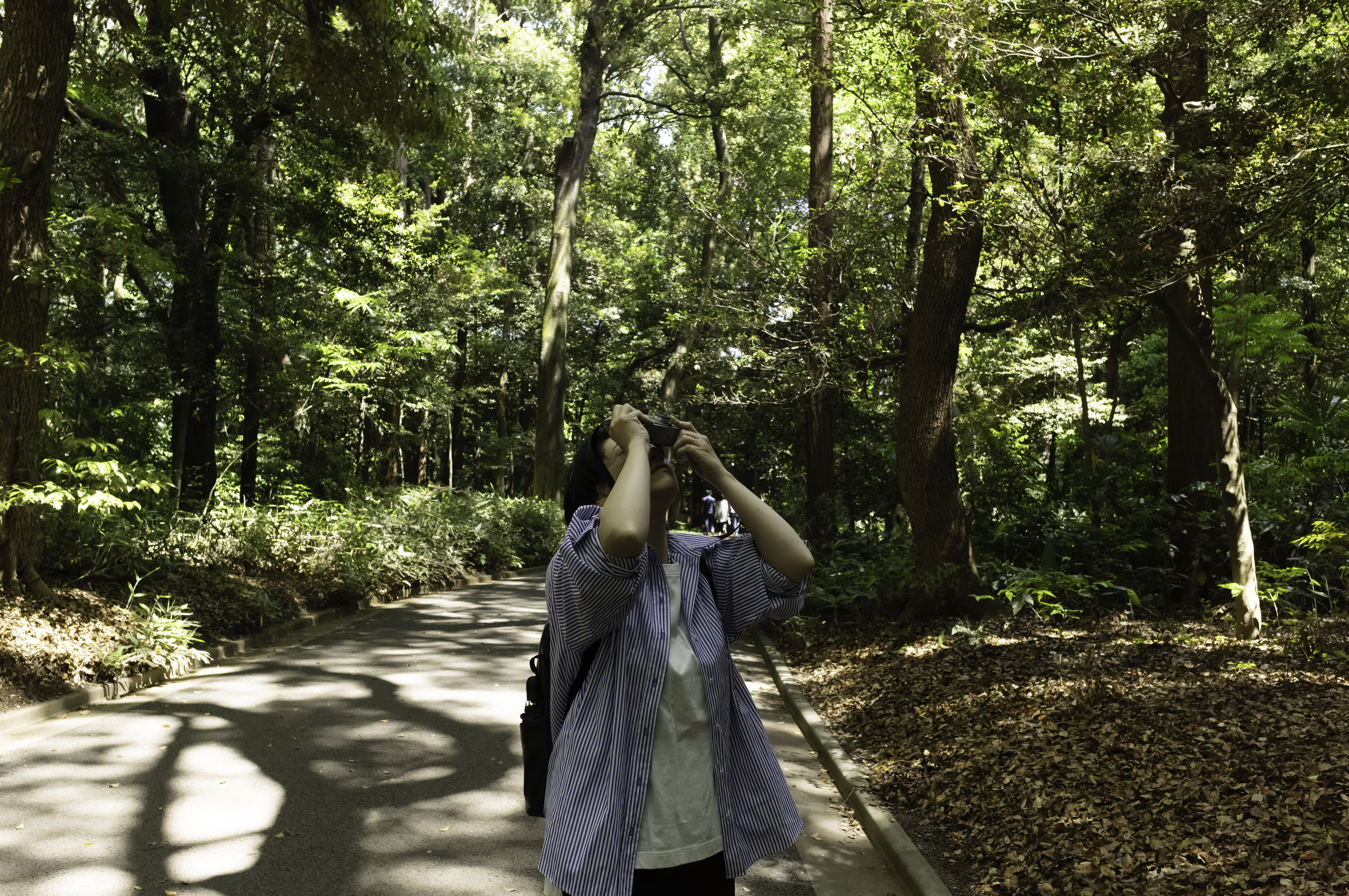 2024.05 – Meiji Jingu Shrine, Shibuya-ku, Tokyo