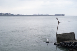 2023.12 - Tamsui Golden Anchor, New Taipei City, Taiwan